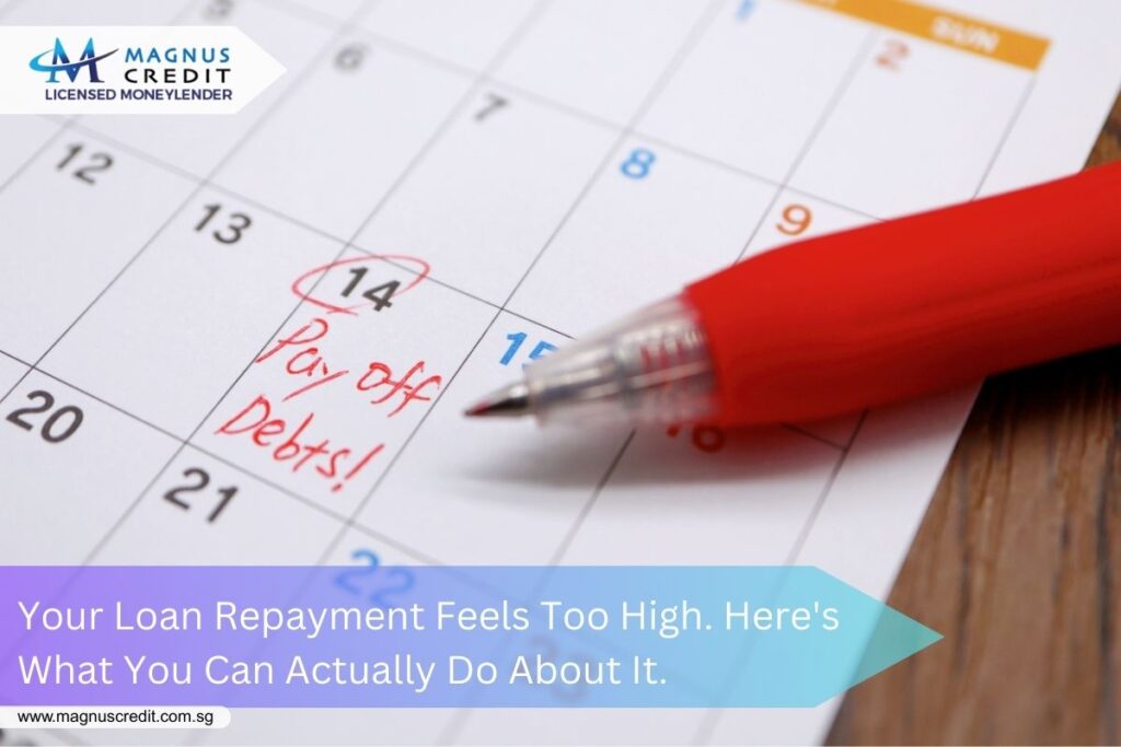 reviewing monthly loan repayment with licensed moneylender in Singapore